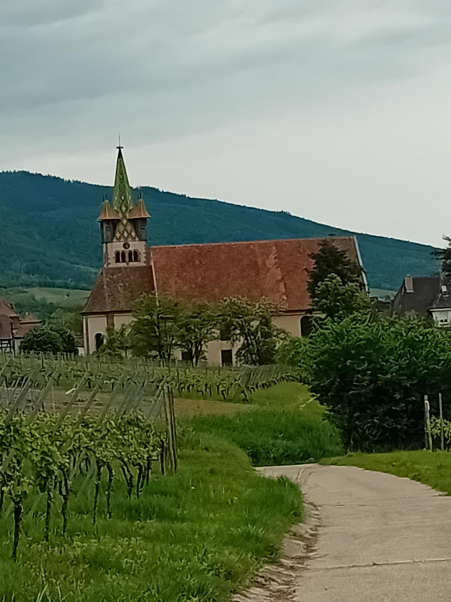 Appartement Spacieux Dans Joli Village Alsacien Châtenois Esterno foto