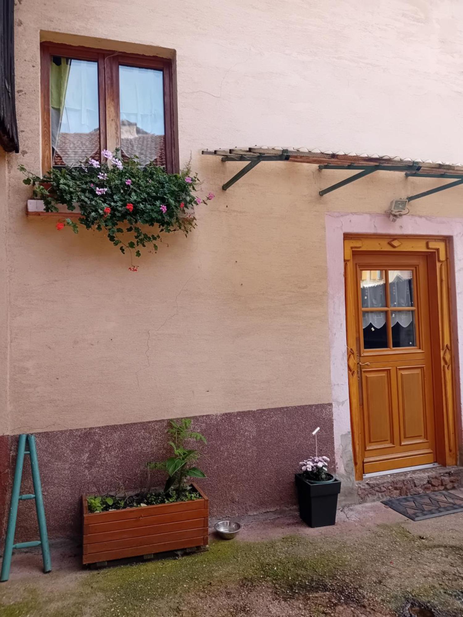 Appartement Spacieux Dans Joli Village Alsacien Châtenois Esterno foto