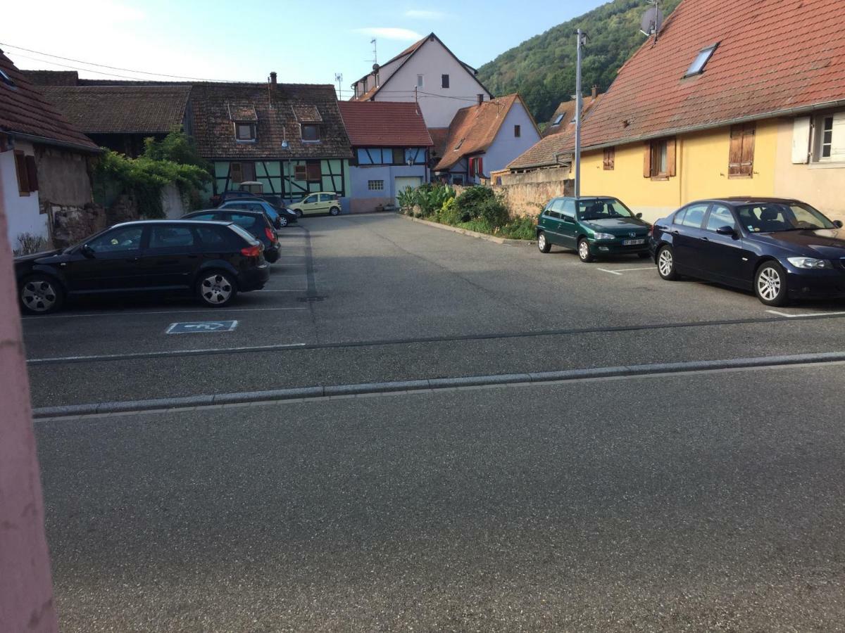 Appartement Spacieux Dans Joli Village Alsacien Châtenois Esterno foto